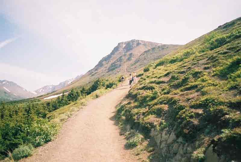 Flattop Mountain Shuttle provides van transportation from downtown to the trailhead and back for $22 per person. The Shuttle leaves from 4th & C at 1 p.m. and gets to the trailhead at 1:30. Hikers meet back at the van at 4 and are back downwtown at 4:30. Anchorage Alaska Hike, Flattop