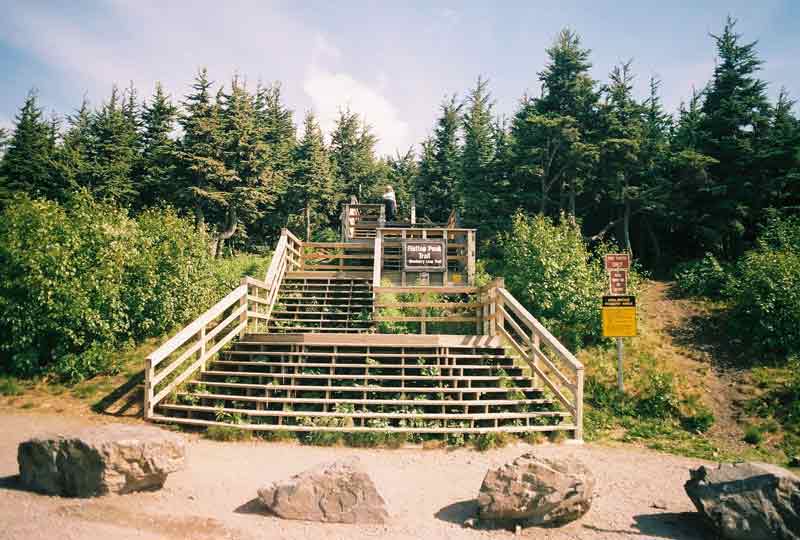 Anchorage Alaska Hike, Flattop. Hike Flattop Mountain near Anchorage, Alaska to see panoramic view of Mt. McKinley and Redoubt Volcano.  A shuttle can carry your party for $22 per adult.  Hike Flattop Mountain to pick berries, watch moose, go mountain biking, or take your favorite partner out for some fresh air and solitude