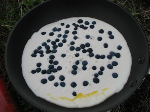 Anchorage Alaska, Blueberry Picking, Hike Flattop