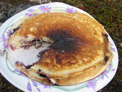 Anchorage Alaska, Blueberry Picking, Hike Flattop