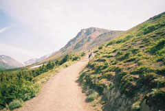 Blueberry Loop Trail picture of Anchorage, Alaska Trail