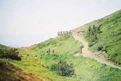 Gentle Blueberry Loop Trail near Anchorage, Alaska great for families