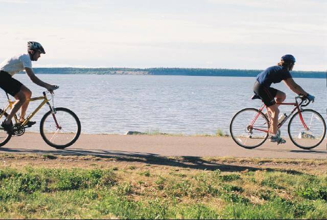 Coastal Trail Bikes - Hike Anchorage, Alaska