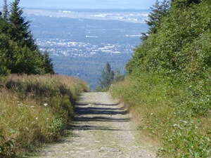 Beginning of Power Line Trail - Hike Anchorage, Alaska