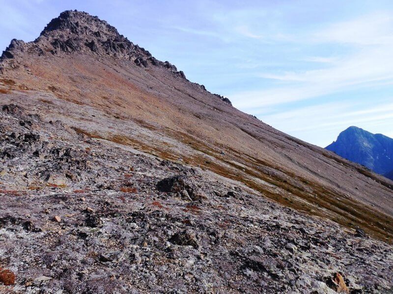 Ptarmigan From Saddleback - Hike Anchorage, Alaska