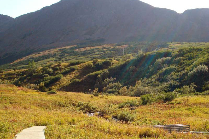 Boardwalk and bridge  - Hike Anchorage, Alaska