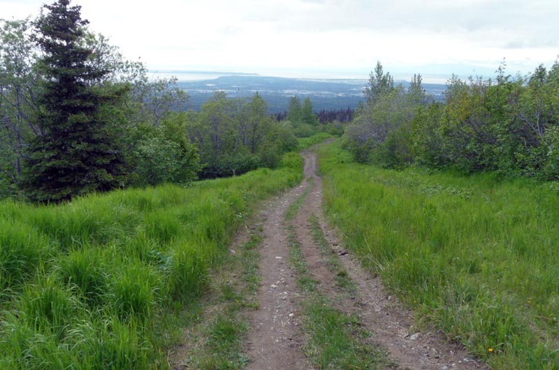 Gas Line Trail Hiking Anchorage Alaska