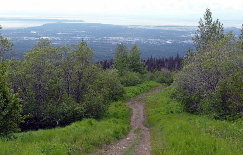 Gas Line Trail Hiking Anchorage Alaska