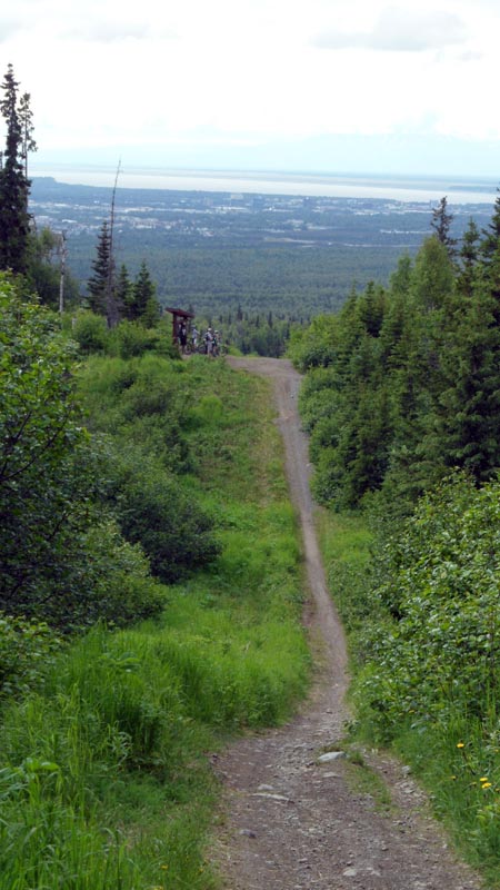 Gas Line Trail Hiking Anchorage Alaska